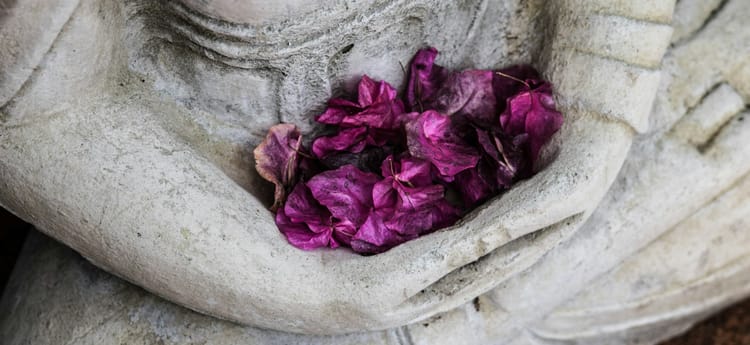 purple flower petals in the arms of a statue