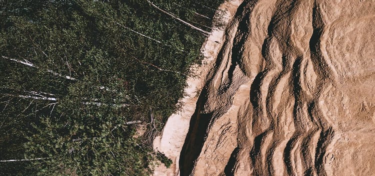 dirt and trees at an odd angle