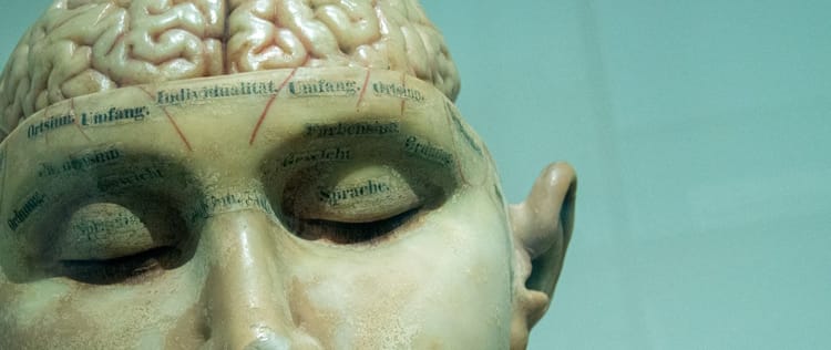 antique anatomical statue showing human brain