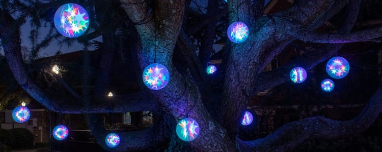 glowing orbs suspended in massive tree branches at night