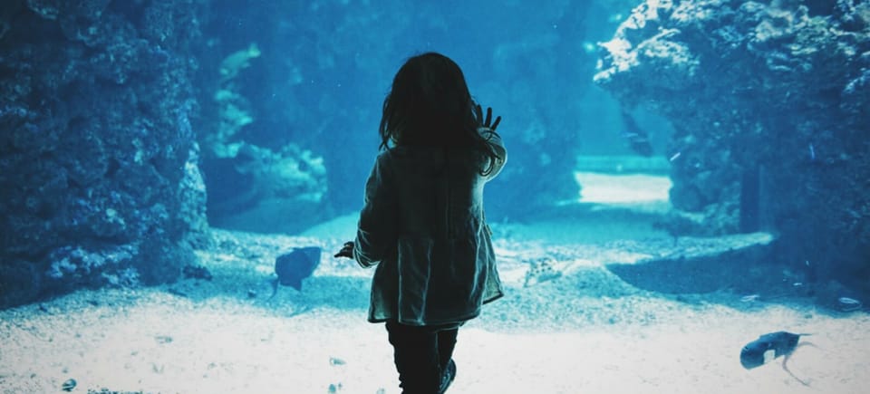 small girl standing at a glass wall at an aquarium