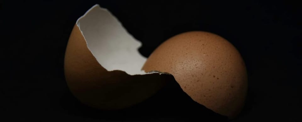 broken eggshell dark background